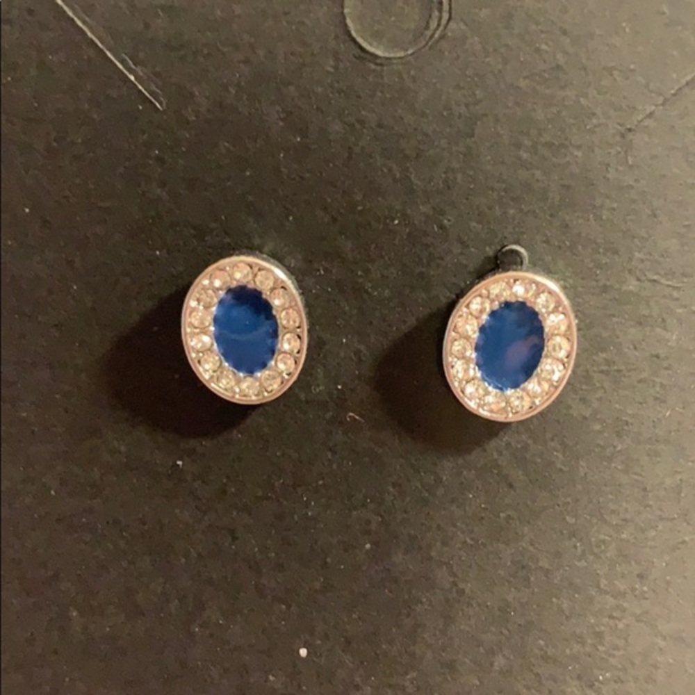🛍Blue & Diamond Earrings!